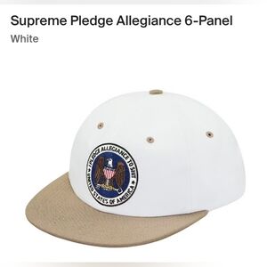 Supreme Pledge Allegiance 6-Panel *FW17*